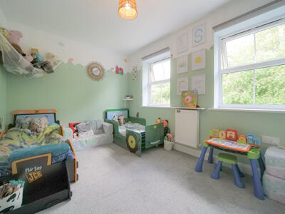 Picture 8